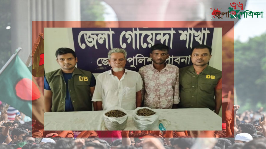 পাবনার ডিবির অ'ভি'যা'নে ১ কেজি ৮০০ গ্রাম গাঁ'জা''স'হ ২ মা'দ'ক ব্য'ব'সা'য়ী গ্রে'ফ'তা'র।