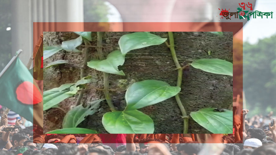 দক্ষিণ-পশ্চিমের রন্ধনরহস্য চুইঝাল: স্বাদে, সুগন্ধে ও অর্থনীতিতে অনন্য