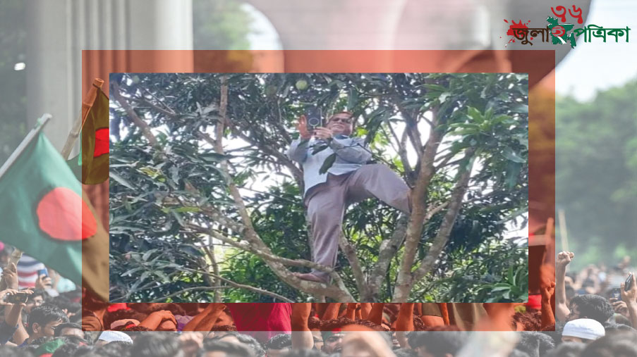 বাঘাইছড়িতে নেটওয়ার্ক সং’ক’টে জীবনের ঝু ‘কি, আমগাছে উঠে অনলাইন হাজিরা প্রধান শিক্ষকের‎