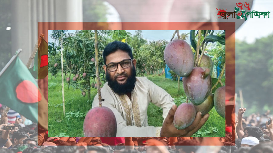 রংপুরে চাষ হচ্ছে জাপানের মিয়াজাকি আম