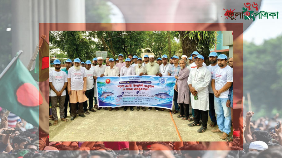 জাতীয় মৎস্য পক্ষ ঘিরে দিরাইয়ে নানা আয়োজন